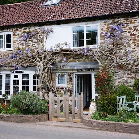 Oakford The Bark House Bed & Breakfast エクステリア 写真