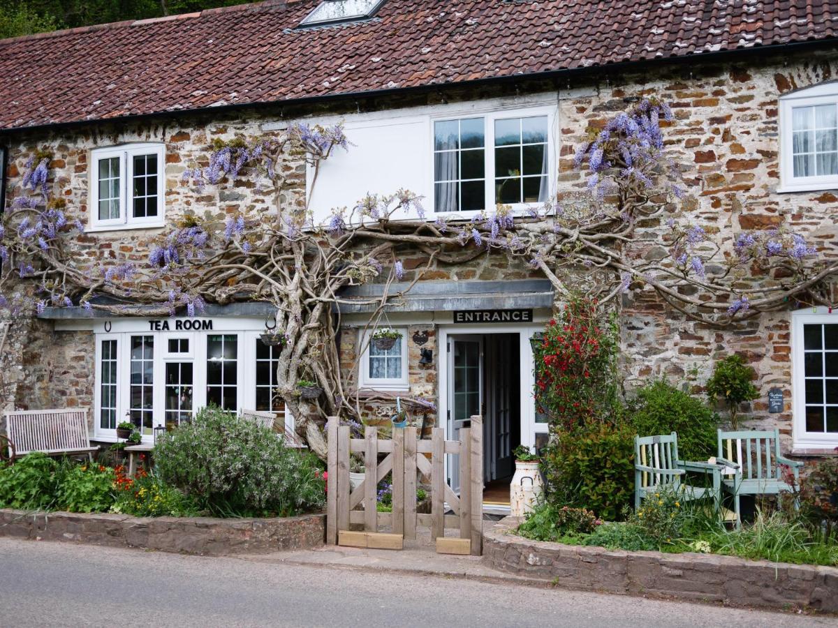 Oakford The Bark House Bed & Breakfast エクステリア 写真